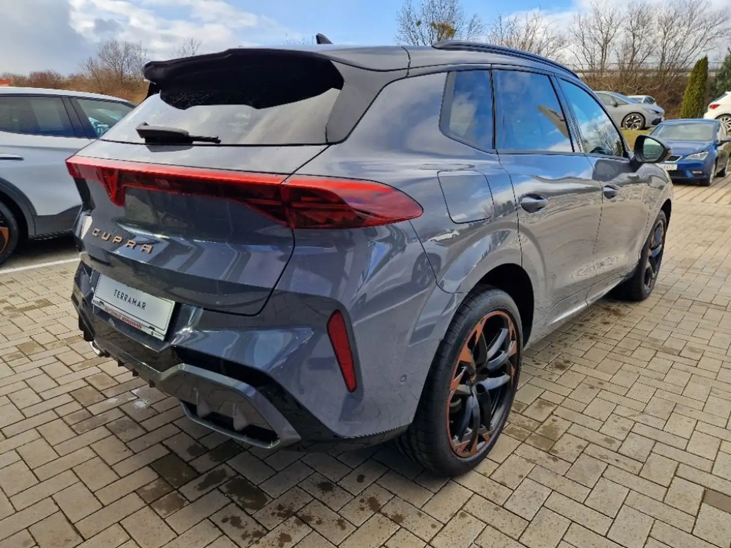 CUPRA Terramar 2.0 TSI 4Drive DSG VZ Grau - 2