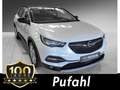 Opel Grandland X - Bianco - thumbnail 1
