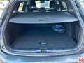 Ford Focus SW 1.0t ecoboost h ST-Line 125cv Grigio - thumbnail 12