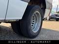 Mercedes-Benz Sprinter 516 CDI L2H2 Automatik KLIMA Kamera Tem Blanc - thumbnail 15