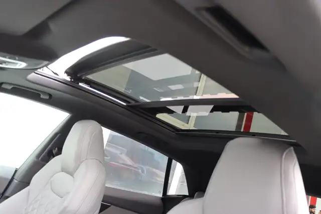 Audi Q8 50TDI | S-LINE | PANO | Nachtsicht | MEGA VOLL | Ansicht 20