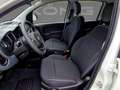 Fiat Panda MY24 1.0 Klima PDC Radio Weiß - thumbnail 12