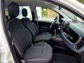 Fiat Panda MY24 1.0 Klima PDC Radio Weiß - thumbnail 7