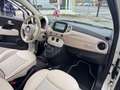 Fiat 500 Dolcevita 1.0 70 CV MHEV - PROMO FINANZ. Blanc - thumbnail 9