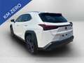 Lexus UX 300h 300h 2.0 urban 2wd cvt Blanc - thumbnail 3