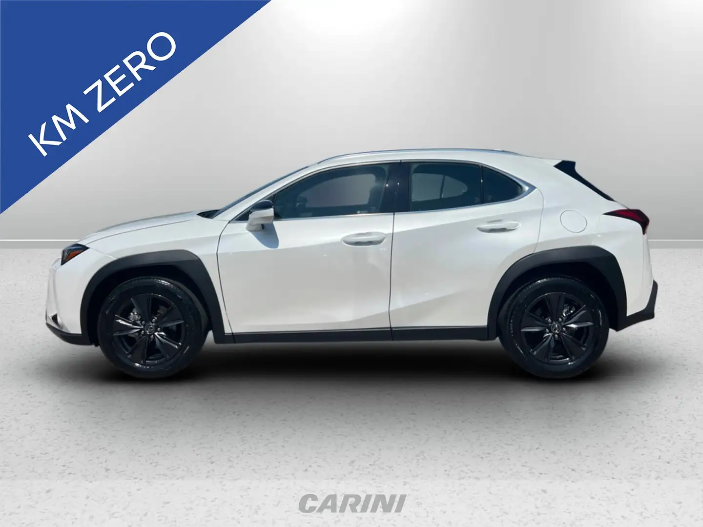 Lexus UX 300h 300h 2.0 urban 2wd cvt Weiß - 2