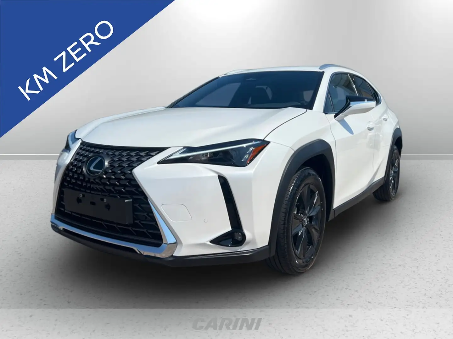 Lexus UX 300h 300h 2.0 urban 2wd cvt Blanc - 1