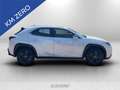 Lexus UX 300h 300h 2.0 urban 2wd cvt Blanc - thumbnail 6