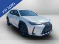 Lexus UX 300h 300h 2.0 urban 2wd cvt Weiß - thumbnail 7