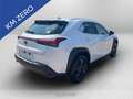 Lexus UX 300h 300h 2.0 urban 2wd cvt Weiß - thumbnail 5