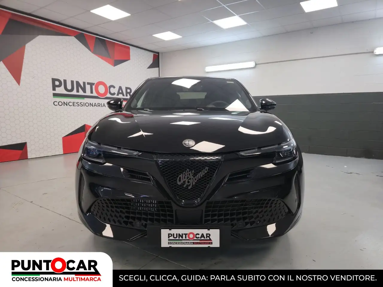 Alfa Romeo Junior 2026