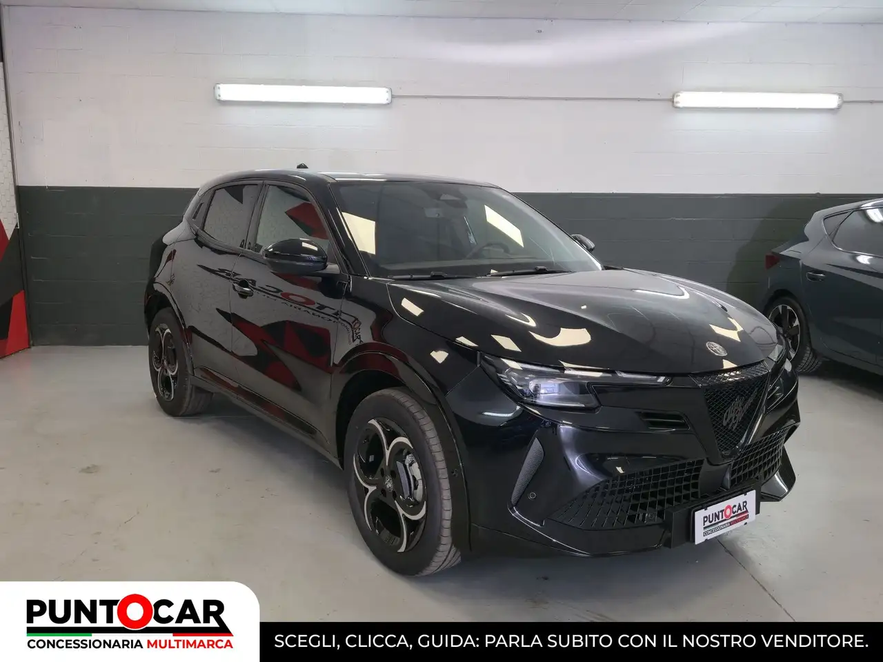 Alfa Romeo Junior 2026