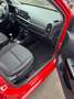 Kia Picanto 1.0 Dream Team Klima,EU6,Sitzh,Tüv Neu Rot - thumbnail 11