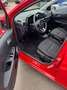 Kia Picanto 1.0 Dream Team Klima,EU6,Sitzh,Tüv Neu Rot - thumbnail 7