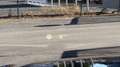 BMW 420 d xDrive M-Sportpaket Grau - thumbnail 39