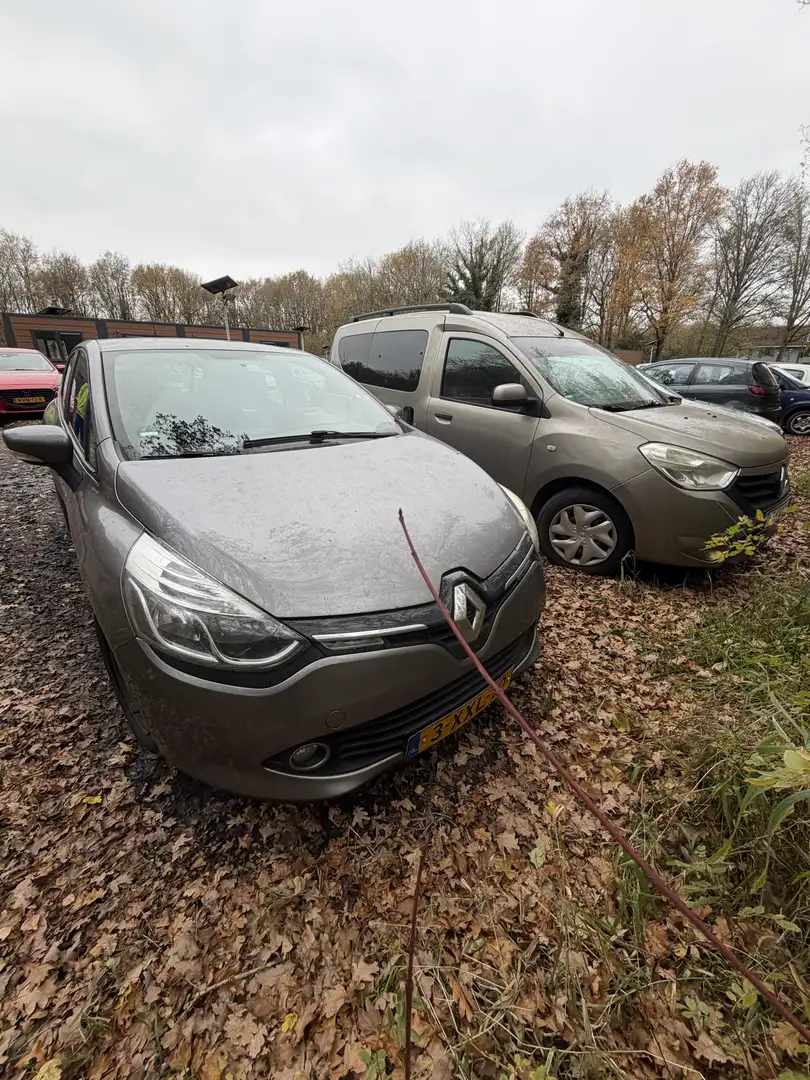 Renault Clio Renault Clio 0.9 TCE 66KW 5-DRS 2014 Grijs Grijs - 1