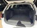 Volkswagen Golf Variant 1.4 TSI Highline|Panoramadak|150pk|LED|Metallic Wi Wit - thumbnail 9