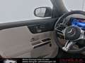 Mercedes-Benz EQB 250 PANO*FAP*AHK*360*MEMO PROGRESSIVE ADV + Grau - thumbnail 7