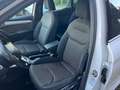 SEAT Arona 1.0 TSI XC. B. INT.LED verlichting Weiß - thumbnail 17