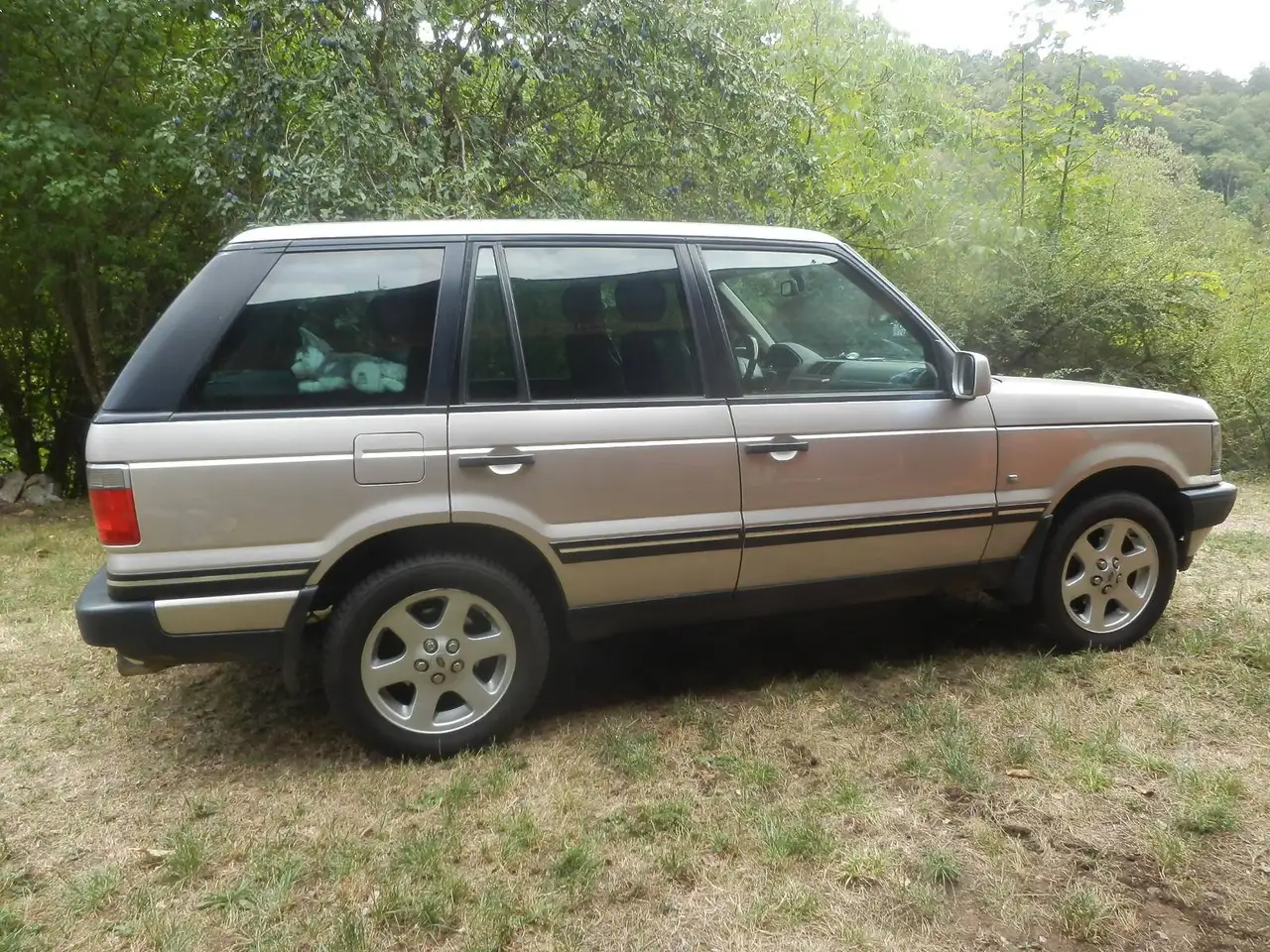 Land Rover Range Rover 4.6 V8 Vogue A, foto 3