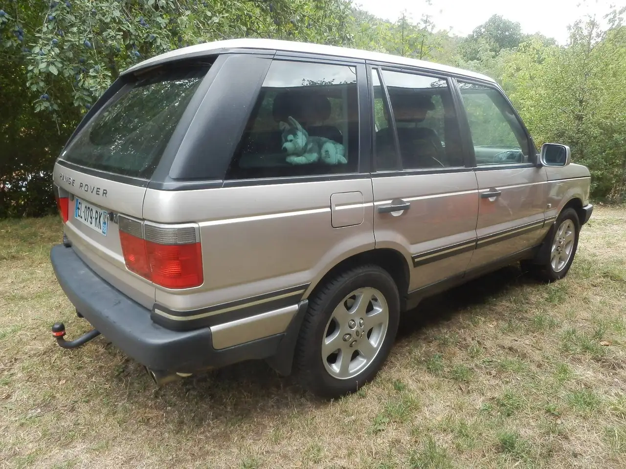 Land Rover Range Rover 4.6 V8 Vogue A, foto 4