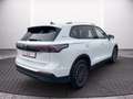 Volkswagen Tiguan 1.5 eTSI Goal 110 kW Matrix-LED AZV Side Assist Weiß - thumbnail 6