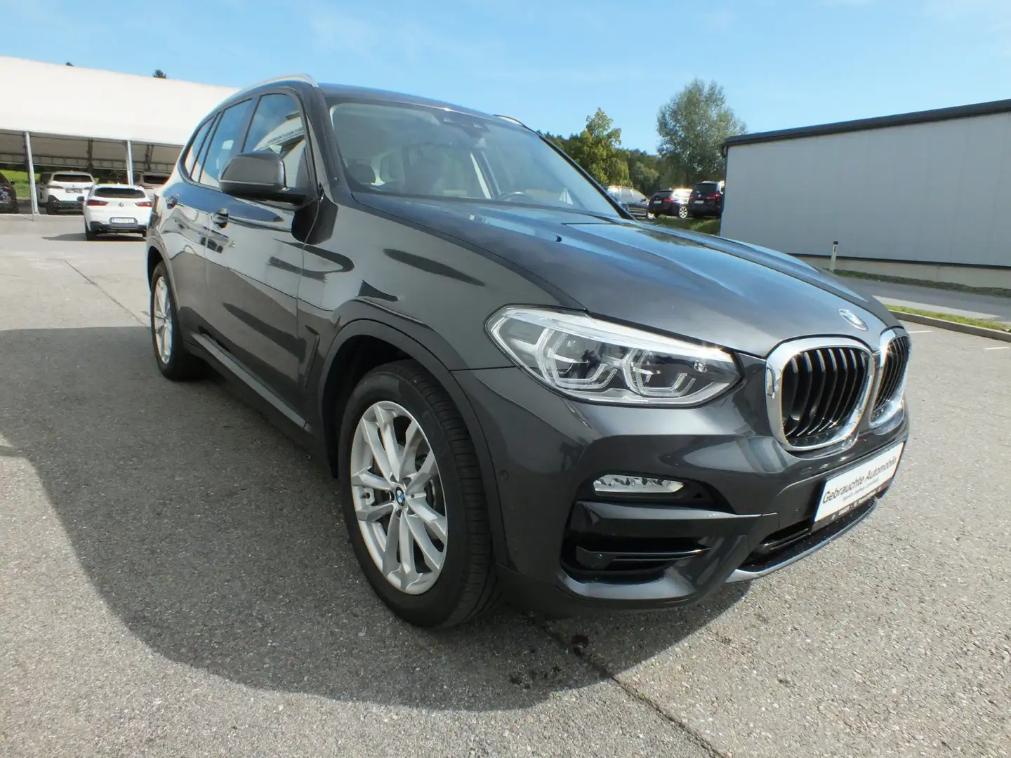 BMW X3 X3 xDrive20i Gris - 2