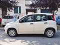 Fiat Panda Panda 1.2 Easy 69cv - thumbnail 3