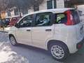 Fiat Panda Panda 1.2 Easy 69cv - thumbnail 7