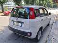 Fiat Panda Panda 1.2 Easy 69cv - thumbnail 4