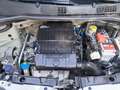 Fiat Panda Panda 1.2 Easy 69cv - thumbnail 15