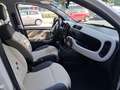 Fiat Panda Panda 1.2 Easy 69cv - thumbnail 10