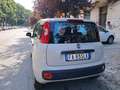 Fiat Panda Panda 1.2 Easy 69cv - thumbnail 6