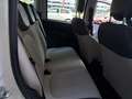 Fiat Panda Panda 1.2 Easy 69cv - thumbnail 12