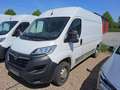 Opel Movano Movano 2.2 D L2H2 2WD VA verstärkt AHK Weiß - thumbnail 1