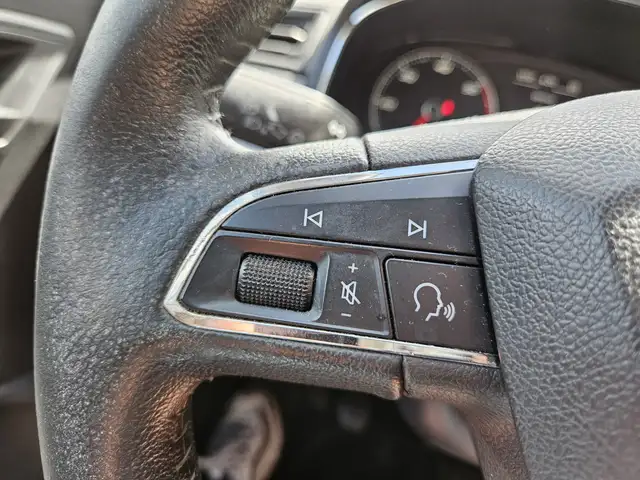Seat Ibiza view 18