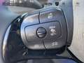 BYD Dolphin Design 60kWh 360° Kamera Navi Grau - thumbnail 17