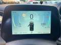 BYD Dolphin Design 60kWh 360° Kamera Navi Grau - thumbnail 12
