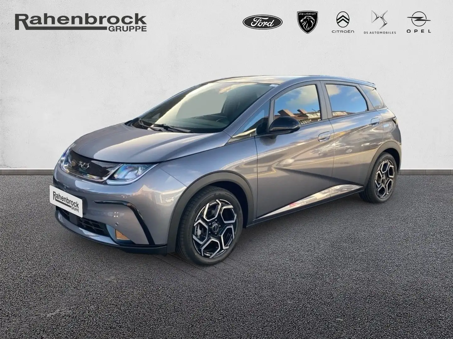 BYD Dolphin Design 60kWh 360° Kamera Navi Gris - 1