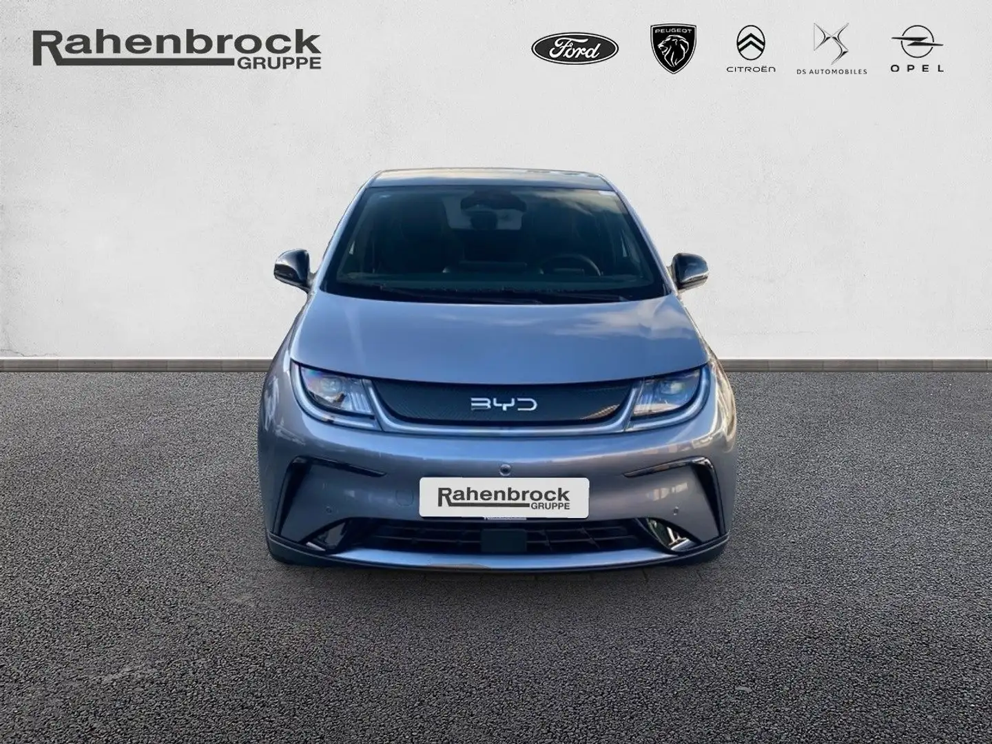 BYD Dolphin Design 60kWh 360° Kamera Navi Gris - 2