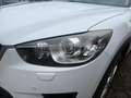 Mazda CX-5 2.2 SKYACTIV-D Attraction BiXenon DynLicht Weiß - thumbnail 4
