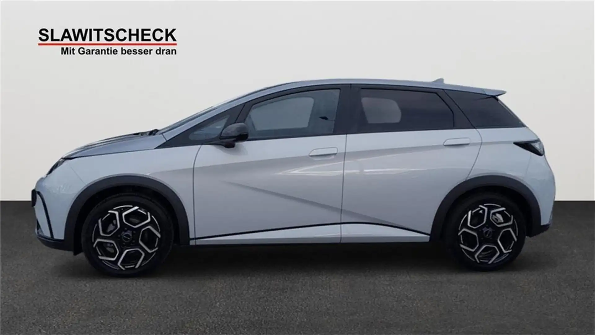 BYD Dolphin Design Szary - 2
