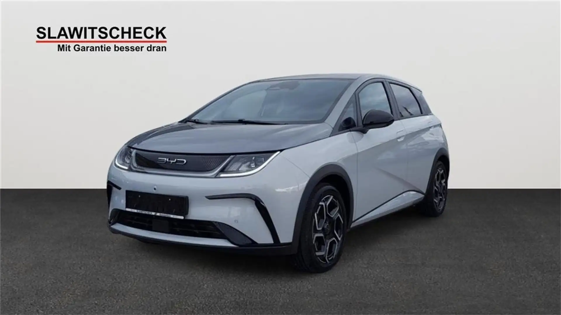 BYD Dolphin Design Szary - 1