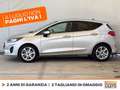 Ford Fiesta 5p 1.0 ecoboost business s&s 100cv Grigio - thumbnail 3