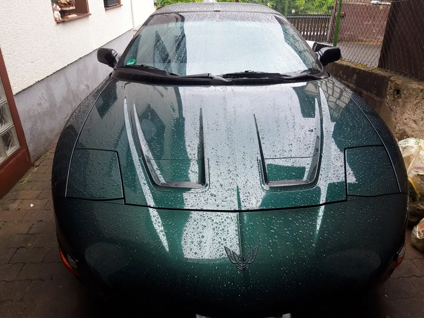 Pontiac Firebird Firebird Automatik Verde - 1