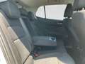 Skoda Fabia STYLE 1.0TSI 110PS LED.NAVI.SHZG.ACC.APP-C.PDC Blanc - thumbnail 10