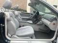 Mercedes-Benz CLK 320 AVANTGARDE AUT., *LPG GAS* LEDER, XENON Blau - thumbnail 15