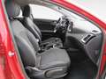 Kia Ceed / cee'd 1.4 T-GDI Eco-Dynamics Tech Rojo - thumbnail 13