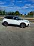 Peugeot 3008 1,5 BlueHDi 130 S&S EAT8 GT Line Aut. Weiß - thumbnail 2