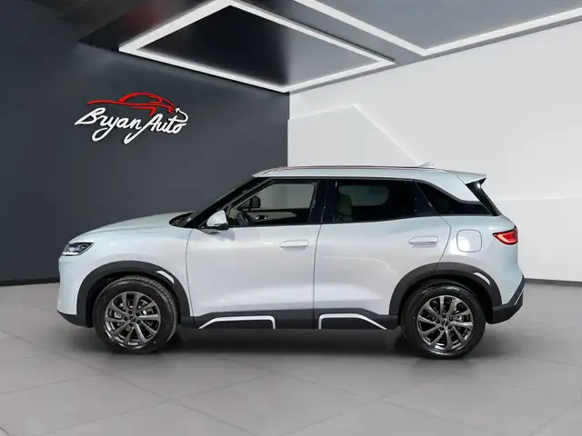 Byd Atto 2 view 5